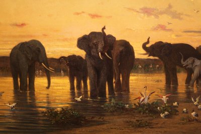 African elephants by Charles Émile de Tournemine